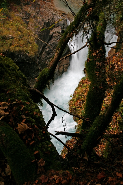 2010-10-05_13-18-13_Friaul_2010.JPG - Am Ribach