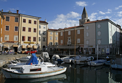 Muggia