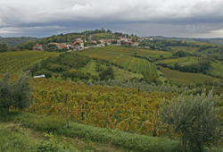 Im Collio