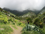 Barranco de Guarimar