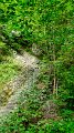 2021_09_06_102714_idrosee-2021
