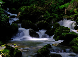 Kleiner Bach am Wegesrand