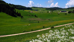 Landschaft bei La Pesse