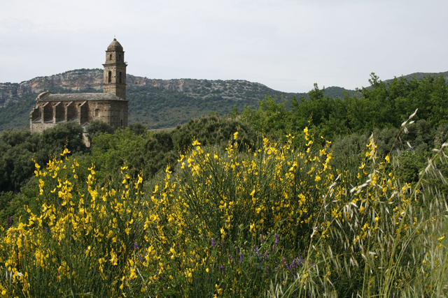 2009-05-04_15-51-00_korsika.jpg - Im Patrimonio