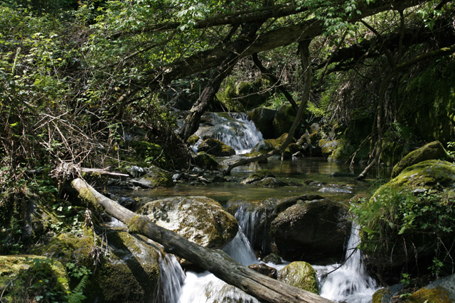 2009-05-05_12-05-07_korsika.jpg - Iin der Castagniccia