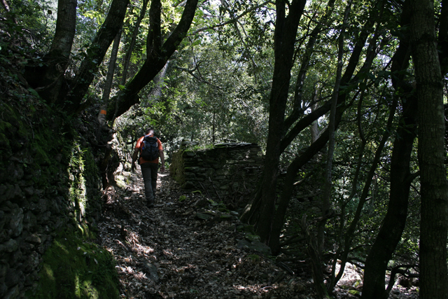 2009-05-05_12-15-10_korsika.jpg - In der Castagniccia