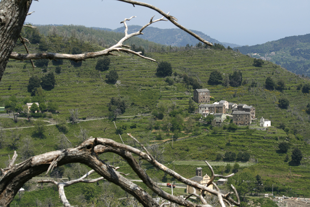 2009-05-05_13-33-50_korsika.jpg - In der Castagniccia