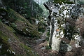 2009-05-06_10-36-17_korsika