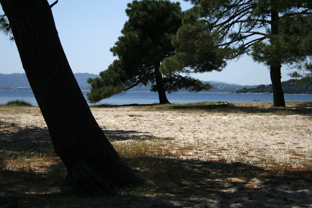 2009-05-08_13-08-41_korsika.jpg - Camping "Golfo di Sogno" bei Porto Vecchio