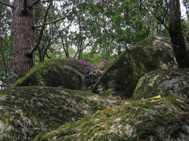 2009-05-09_13-34-12_korsika-uwe.jpg