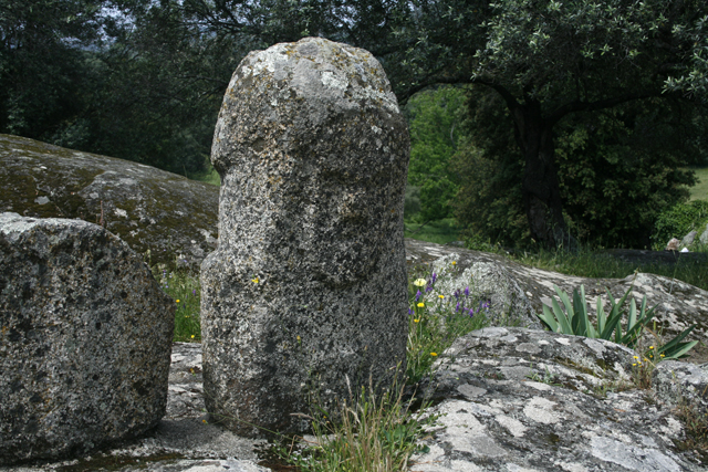 2009-05-15_12-08-20_korsika.jpg - Menhir in Filitosa