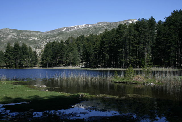 2009-05-20_11-51-07_korsika.jpg - Lac de Crema