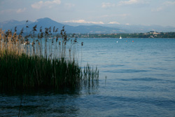 Gardasee