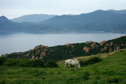 Blick von Piana nach Girolata