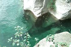 Maggia bei Ponte Brolla