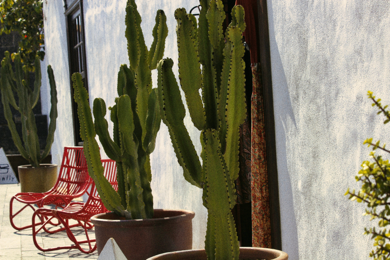 2021_10_18_130015_lanzarote-2021.jpg - Bummel durch das sehenswerte Teguise im Zentrum der Insel