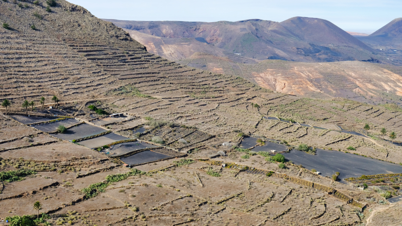 2021_10_19_170711_lanzarote-2021.jpg - Rckfahrt ber Haria