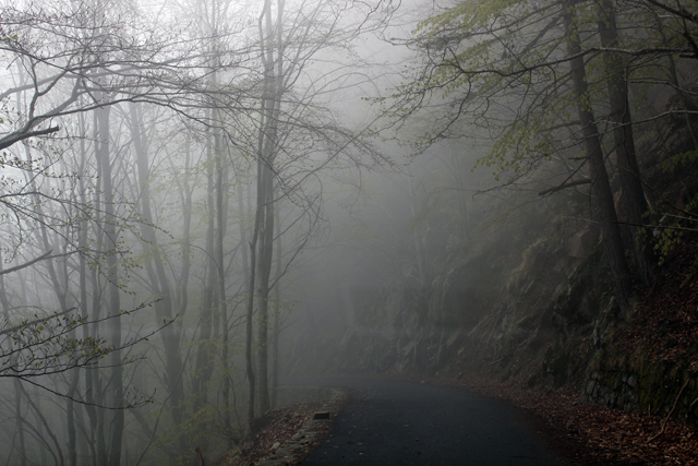 2012-04-29_14-03-22_ligurien2012.jpg - Nebel am Monte Ceppo