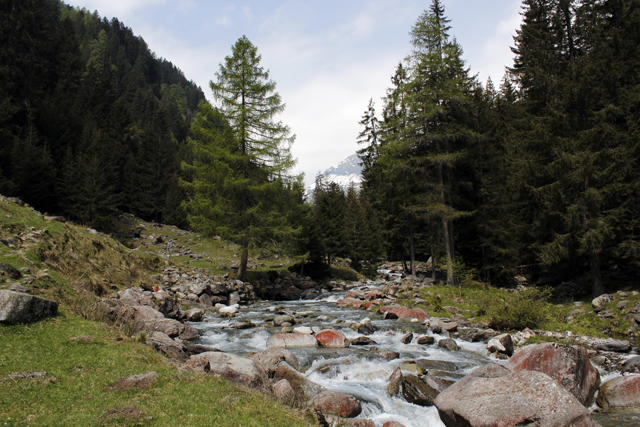 2012-05-18_11-04-00_ligurien2012.jpg - Valle di Bosco - Rovana