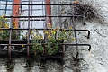 2012-05-01_09-50-55_ligurien2012