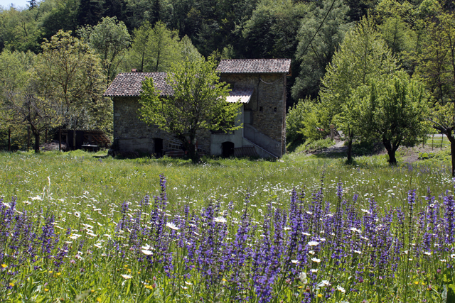 2012-05-04_12-42-19_ligurien2012.jpg - Gehft bei Sospel