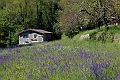 2012-05-07_10-06-23_ligurien2012