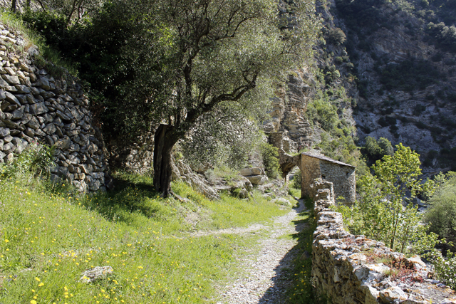 2012-05-11_10-07-50_ligurien2012.jpg - Wanderung auf dem Sentier Vallen sdlich von Breil sur Roya