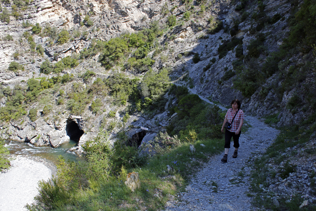 2012-05-11_10-13-48_ligurien2012.jpg - Wanderung auf dem Sentier Vallen sdlich von Breil sur Roya