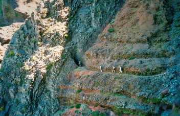 Wanderweg im Gebirge