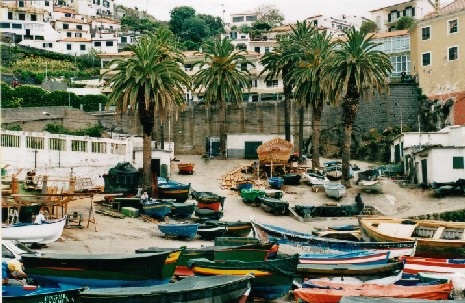 Camara de Lobos