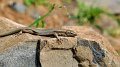 2023-02-28_114454_madeira-2023