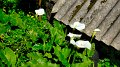 2023-02-28_150400_madeira-2023