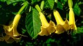 2023-02-28_150604_madeira-2023