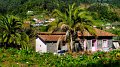 2023-02-28_150828_madeira-2023