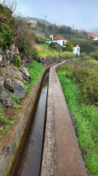 2023-03-02_100940_madeira-2023.jpg - Levada Nova bei Tabua oberhalb Ribeira Brava 