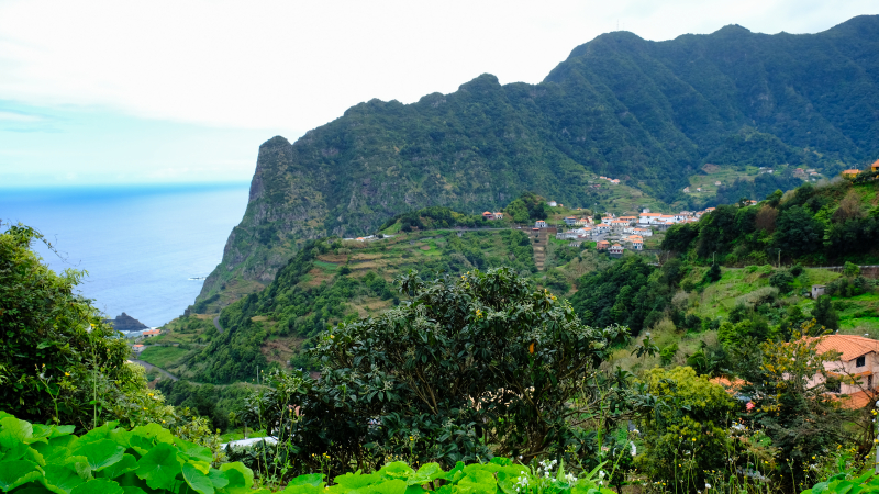 2023-03-02_120606_madeira-2023.jpg - Blick von Boa Ventura zum Pico Alto