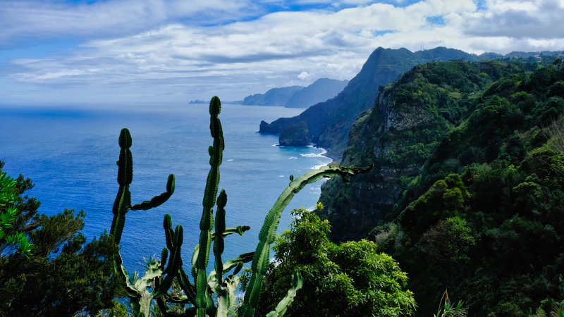 2023-03-02_130622_madeira-2023.jpg - Steilküste nordwestlich von Santana