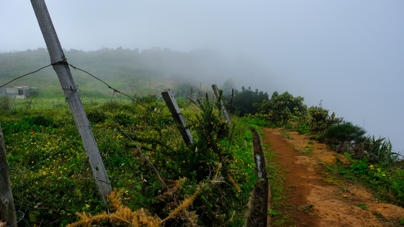 2023-03-02_132500_madeira-2023.jpg - Wanderung an der Steilküste im Nebel