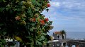 2023-03-01_115708_madeira-2023
