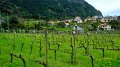 2023-03-02_122500_madeira-2023