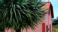 2023-03-02_122756_madeira-2023