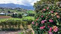 2023-03-02_125503_madeira-2023