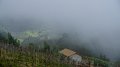 2023-03-02_133004_madeira-2023