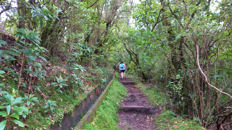 2023-03-04_111655_madeira-2023.jpg - Wanderung an der Levada da Portela