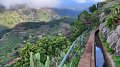 2023-03-03_095856_madeira-2023