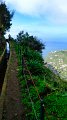 2023-03-03_100228_madeira-2023