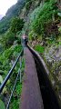 2023-03-03_102102_madeira-2023