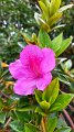 2023-03-04_105200_madeira-2023