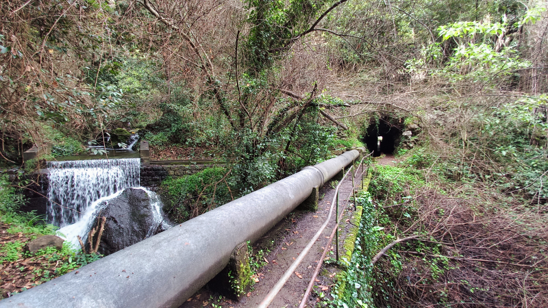 2023-03-05_101424_madeira-2023.jpg - Levada dos Tornos - langer Tunnel vor uns