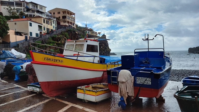2023-03-06_110851_madeira-2023.jpg - Câmara de Lobos - am Fischerhafen